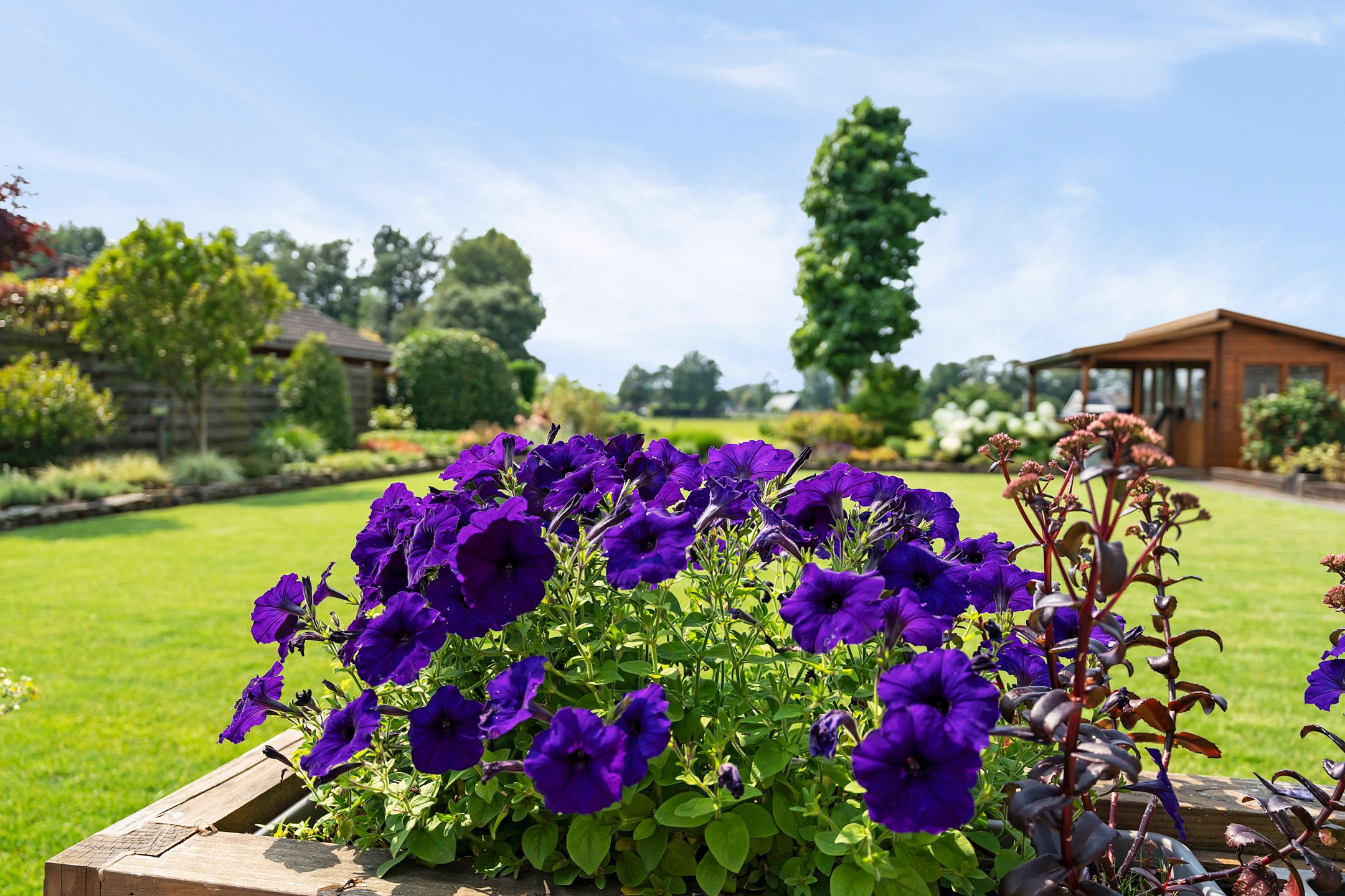 Foto 39 van De Beeklanden 43