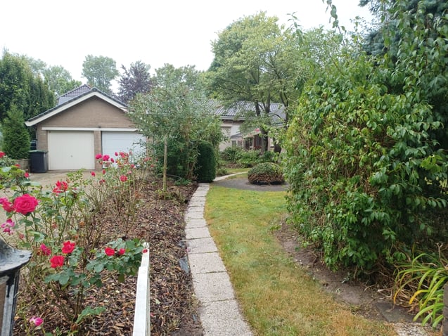 undefined main image