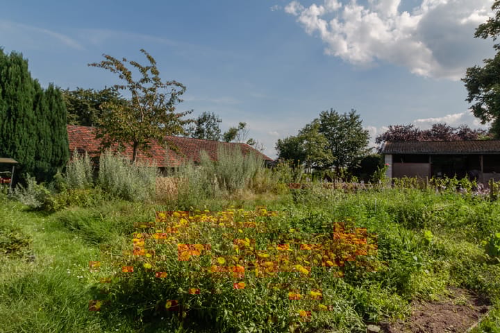 Foto 42 van Keenterstraat 6