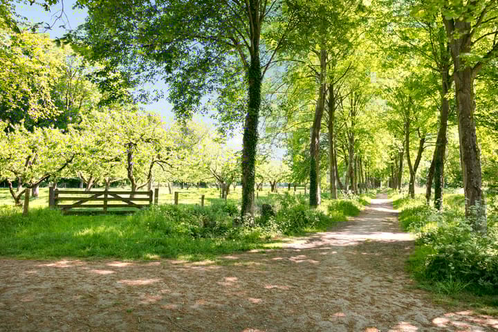 Foto 48 van Burgemeester Posweg 33