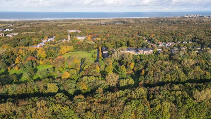 Foto 55 van Markgraaflaan 48