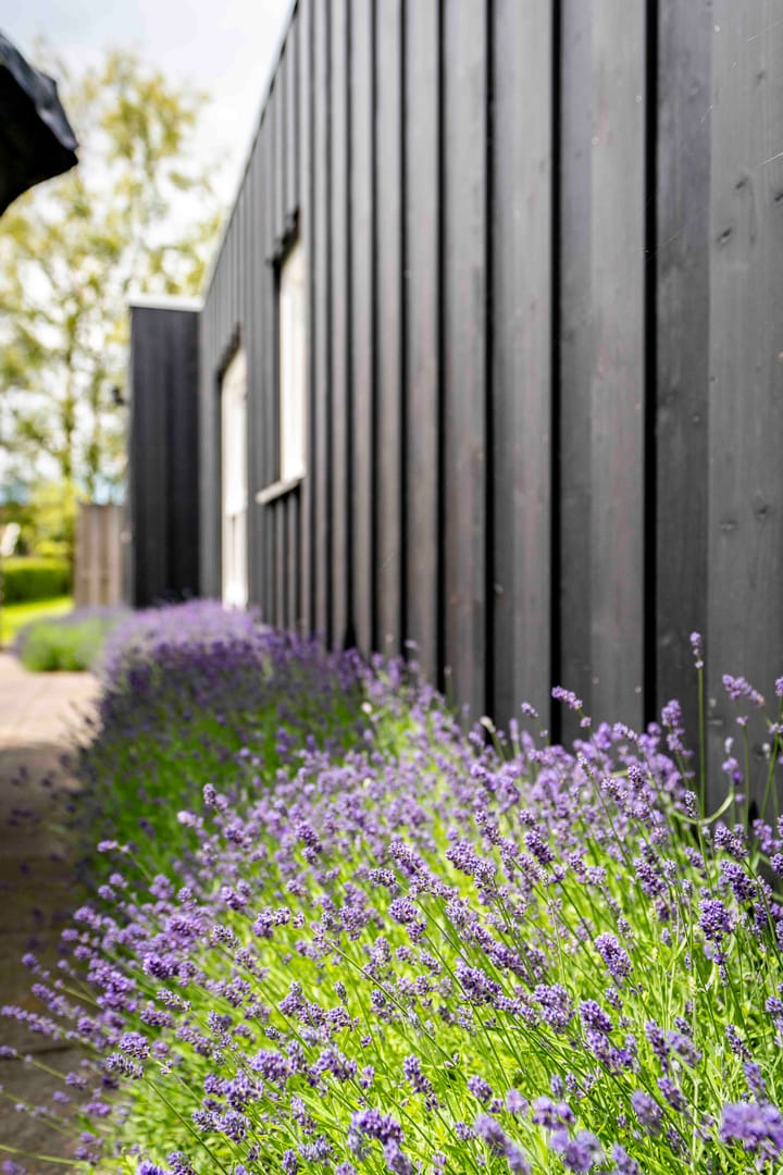 Foto 14 van Walvischstraat 1-A