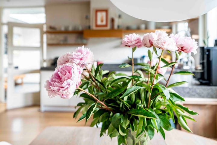 Foto 21 van Walvischstraat 1-A