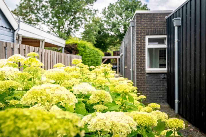 Foto 59 van Walvischstraat 1-A