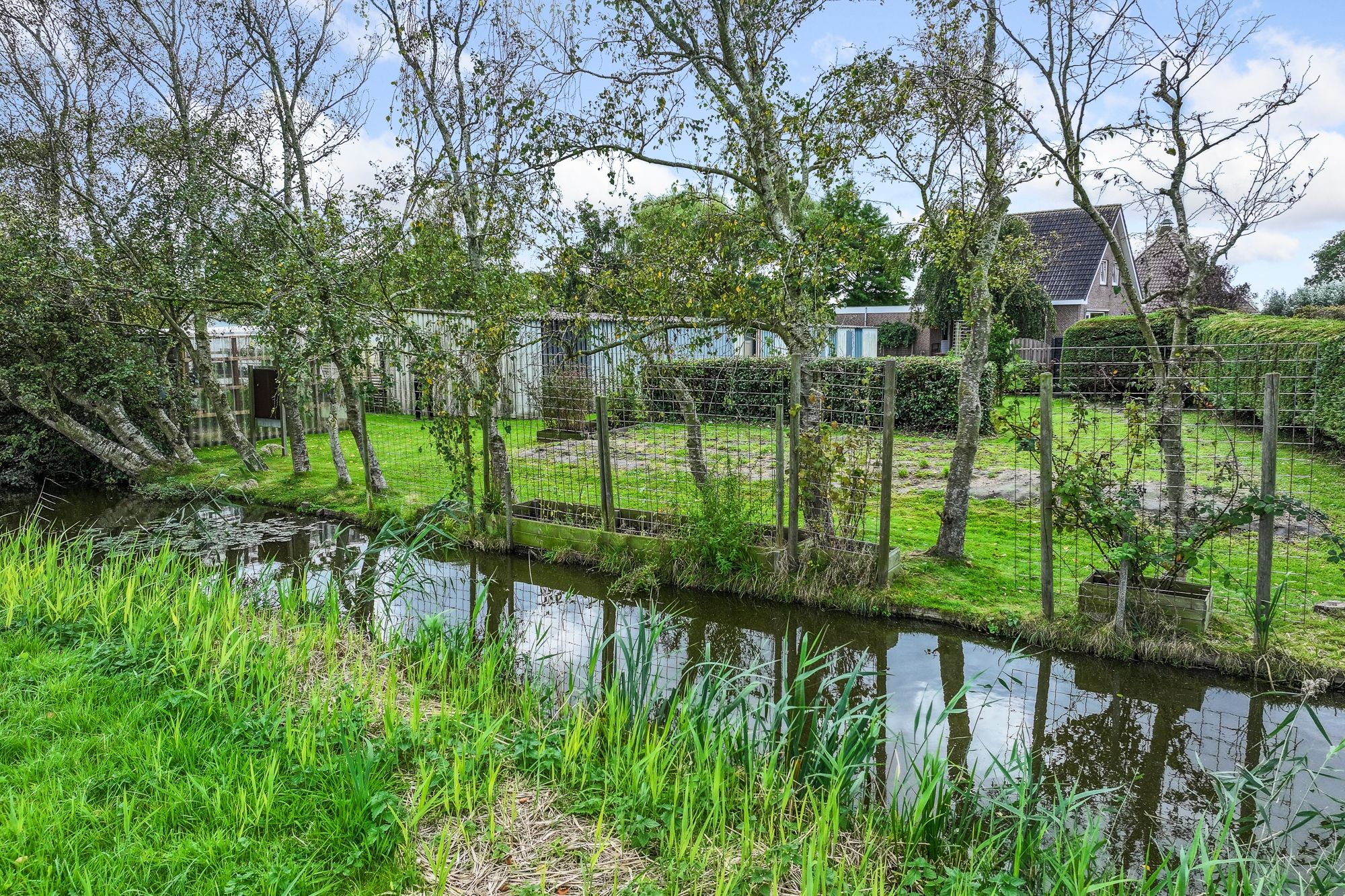 Foto 6 van Busch en Dam 16