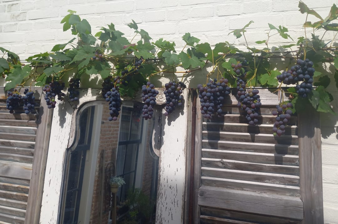 Foto 37 van Voorstraat 128