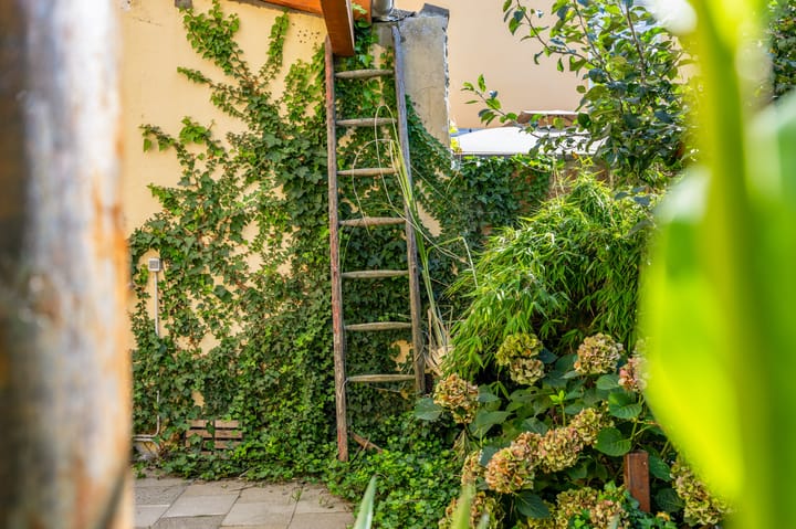 Foto 49 van Pannesheiderstraat 104