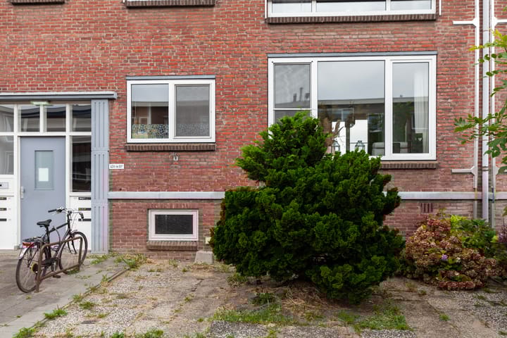 Foto 2 van Mr. Troelstrastraat 49