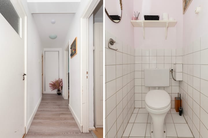 Foto 3 van Mr. Troelstrastraat 49