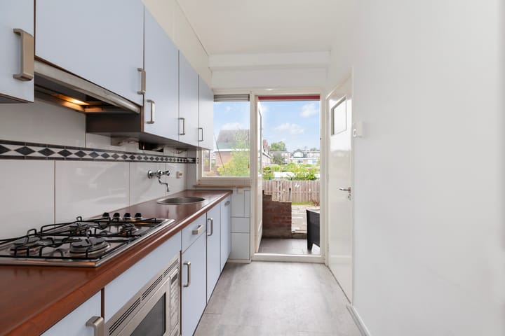 Foto 13 van Mr. Troelstrastraat 49