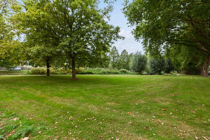 Foto 27 van Mr. Troelstrastraat 49