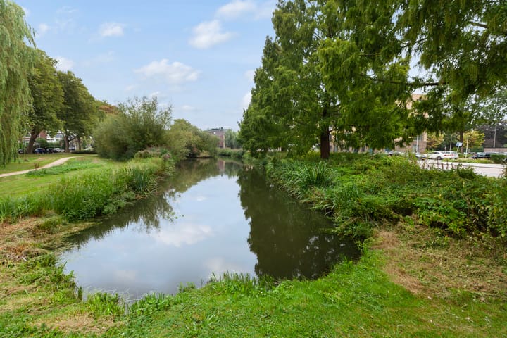 Foto 29 van Mr. Troelstrastraat 49