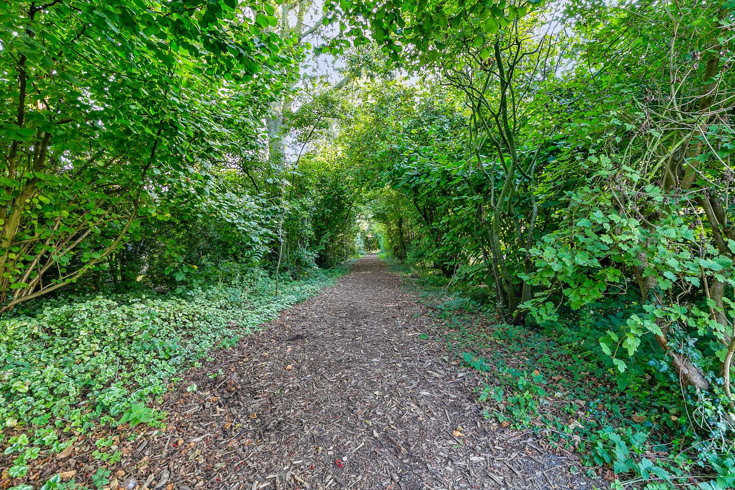 Foto 55 van van Bourgondiëlaan 56