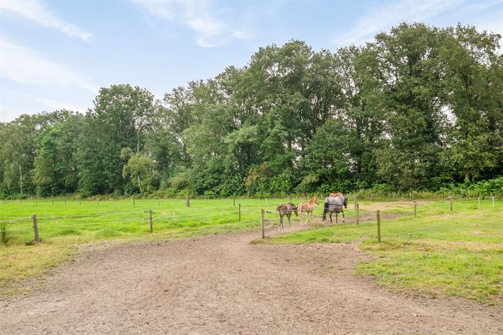 Bekijk foto 47 van Deurneseweg 190