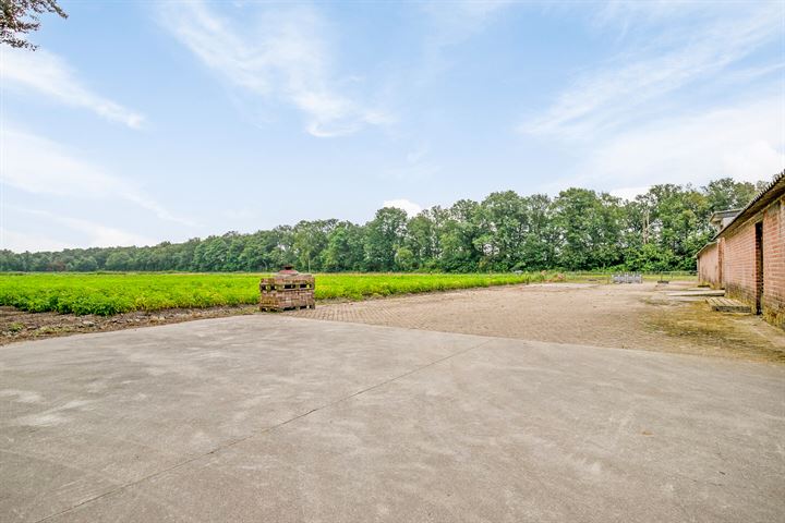 Bekijk foto 48 van Deurneseweg 190