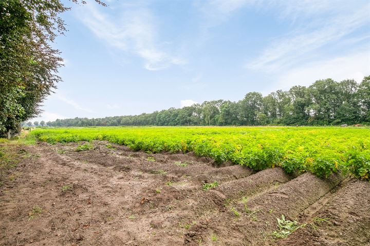 Bekijk foto 49 van Deurneseweg 190