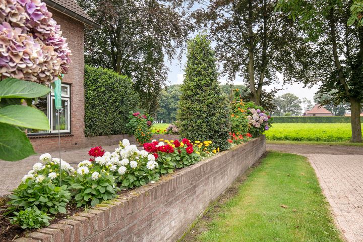 Bekijk foto 52 van Deurneseweg 190