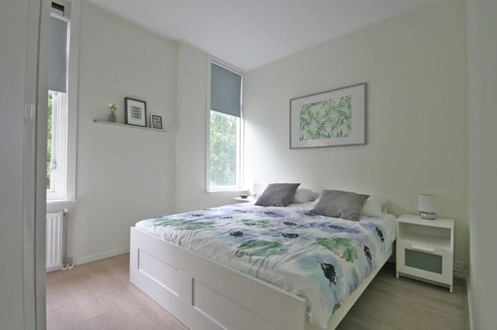 Foto 10 van van Alphenstraat 19