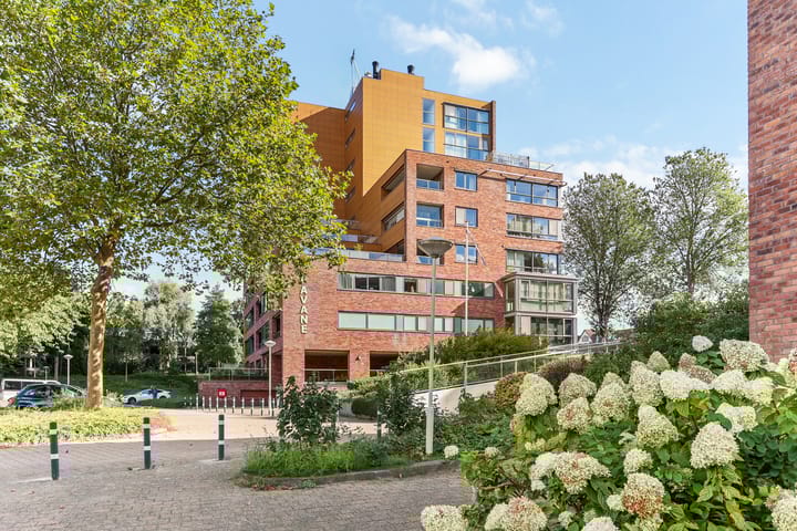 Foto 3 van Saloméschouw 44