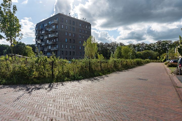 View photo 51 of Zuidhornstraat 4