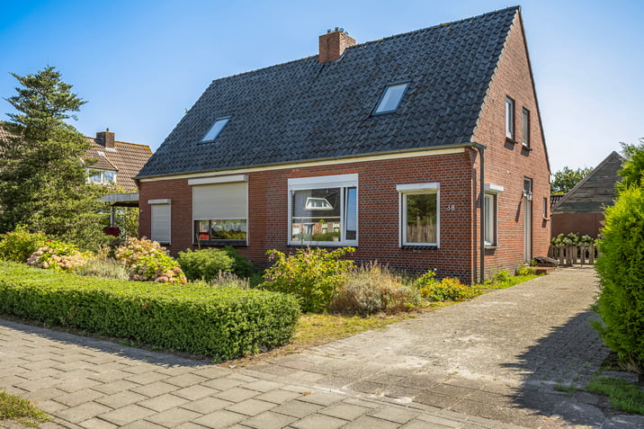 undefined main image