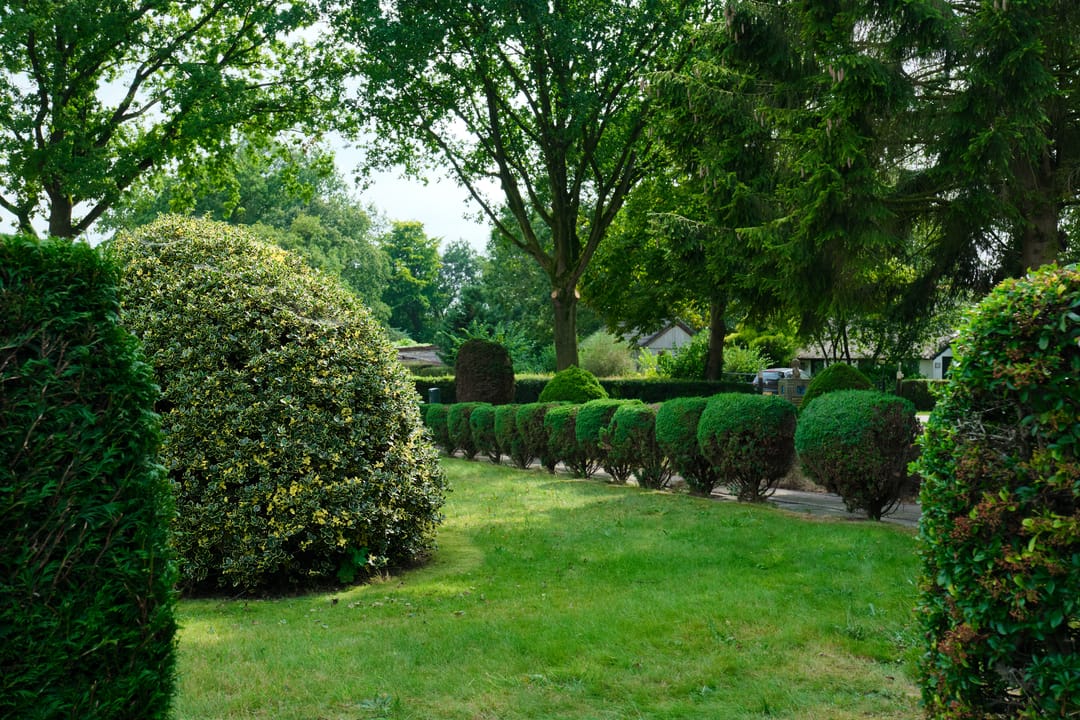 Foto 13 van Skeanewei 30