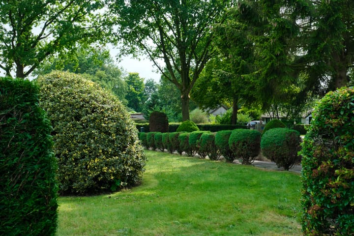 Foto 13 van Skeanewei 30