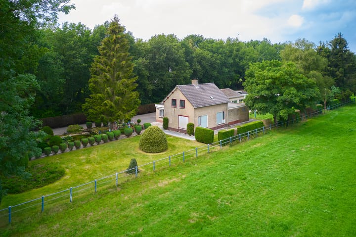 Foto 19 van Skeanewei 30