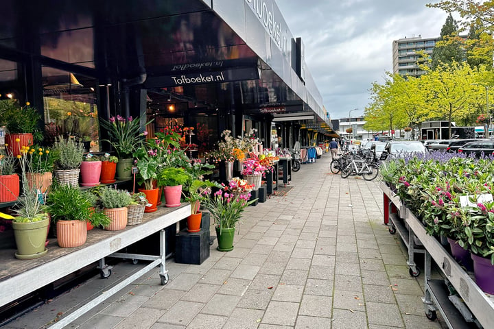 Bekijk foto 48 van Tulpenburg 67