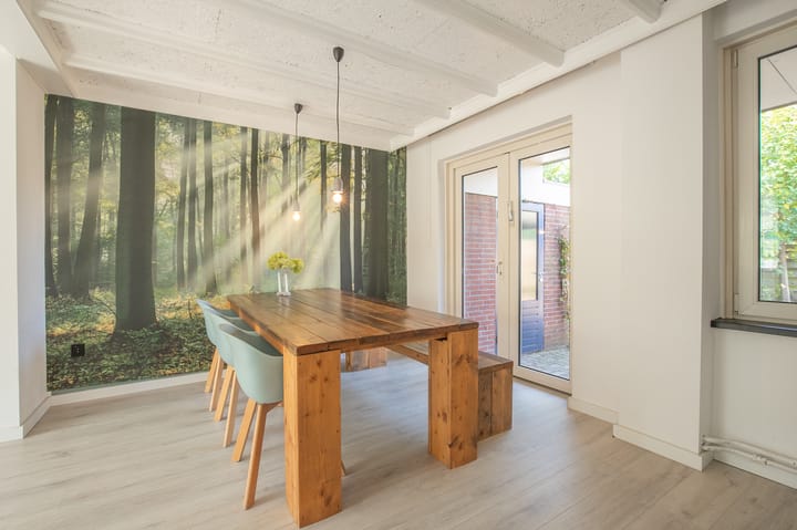 Foto 9 van Baron de Rosenlaan 16