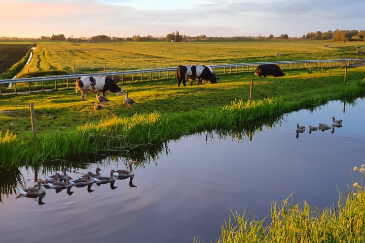 Bekijk foto 47 van Kofschipkade 27