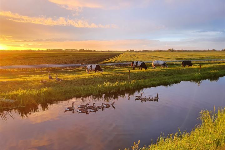 Bekijk foto 49 van Kofschipkade 27