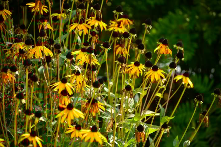 Foto 58 van Amsterdamseweg 286