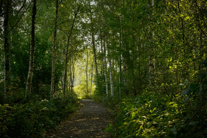 Foto 60 van Amsterdamseweg 286