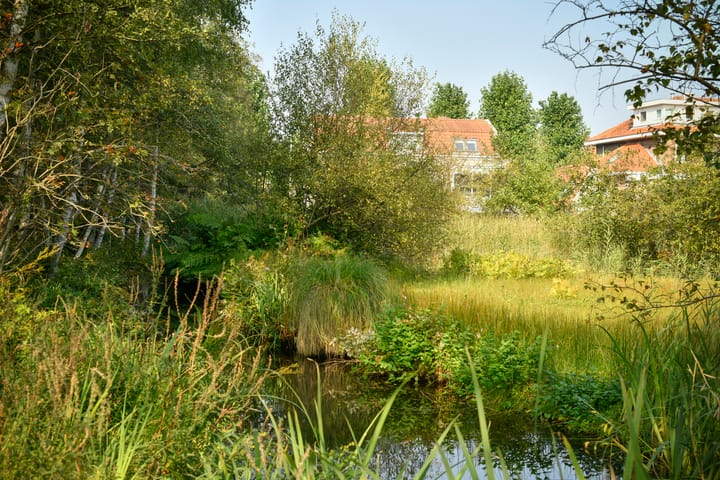 Foto 61 van Amsterdamseweg 286