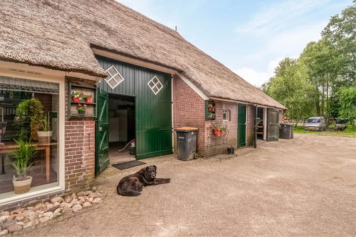 Photo 4 of Ten Have 2