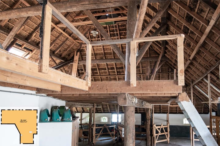 Photo 33 of Ten Have 2