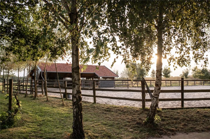 Photo 36 of Ten Have 2