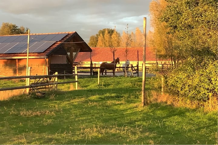 Photo 37 of Ten Have 2