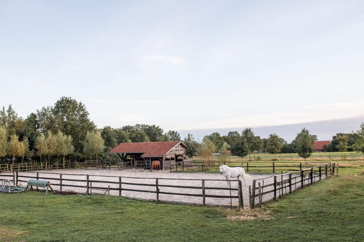 Photo 38 of Ten Have 2