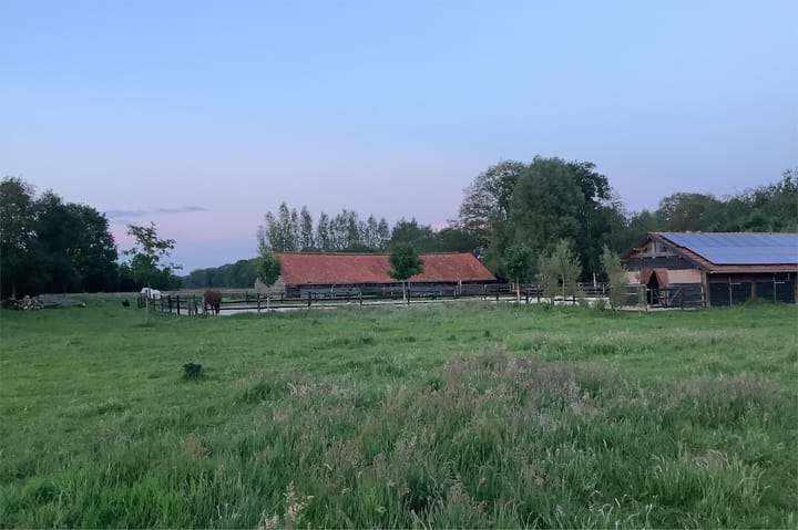 Photo 39 of Ten Have 2