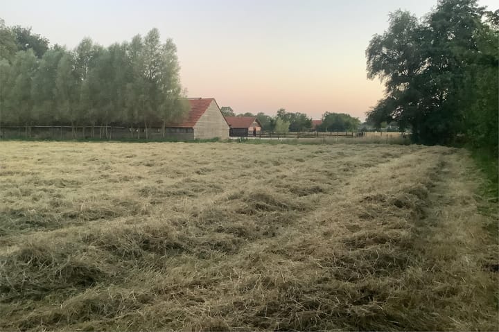 Photo 40 of Ten Have 2