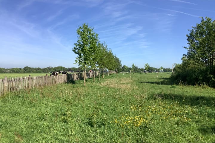 Photo 50 of Ten Have 2