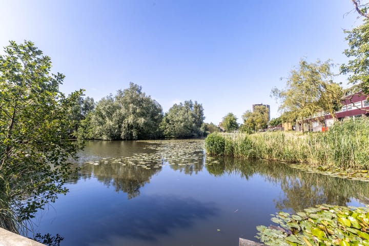 Foto 37 van Schillingdijk 12