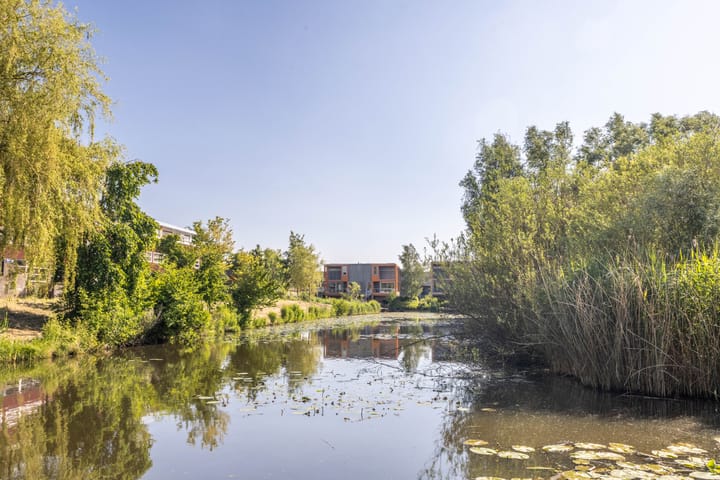 Foto 38 van Schillingdijk 12