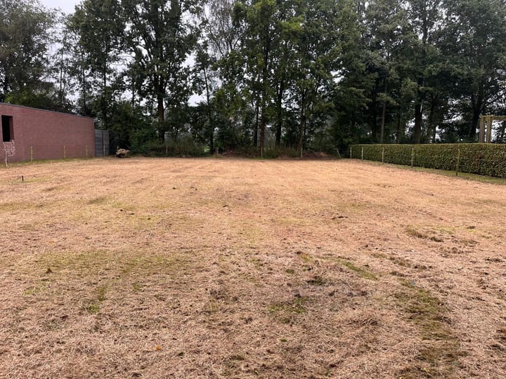 Foto 2 van Zijstraat