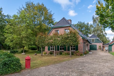 undefined main image