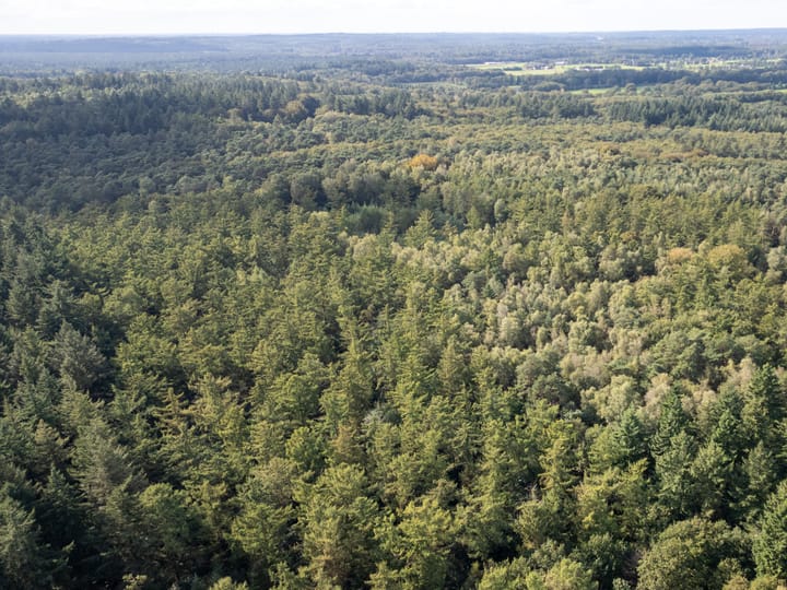 Foto 43 van Achterweg 2