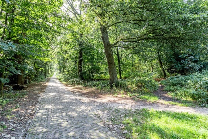 Foto 65 van Oude Oosterbeekseweg 28