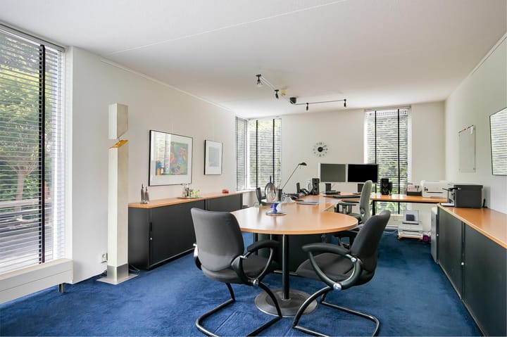 Foto 5 van Rotgans 15